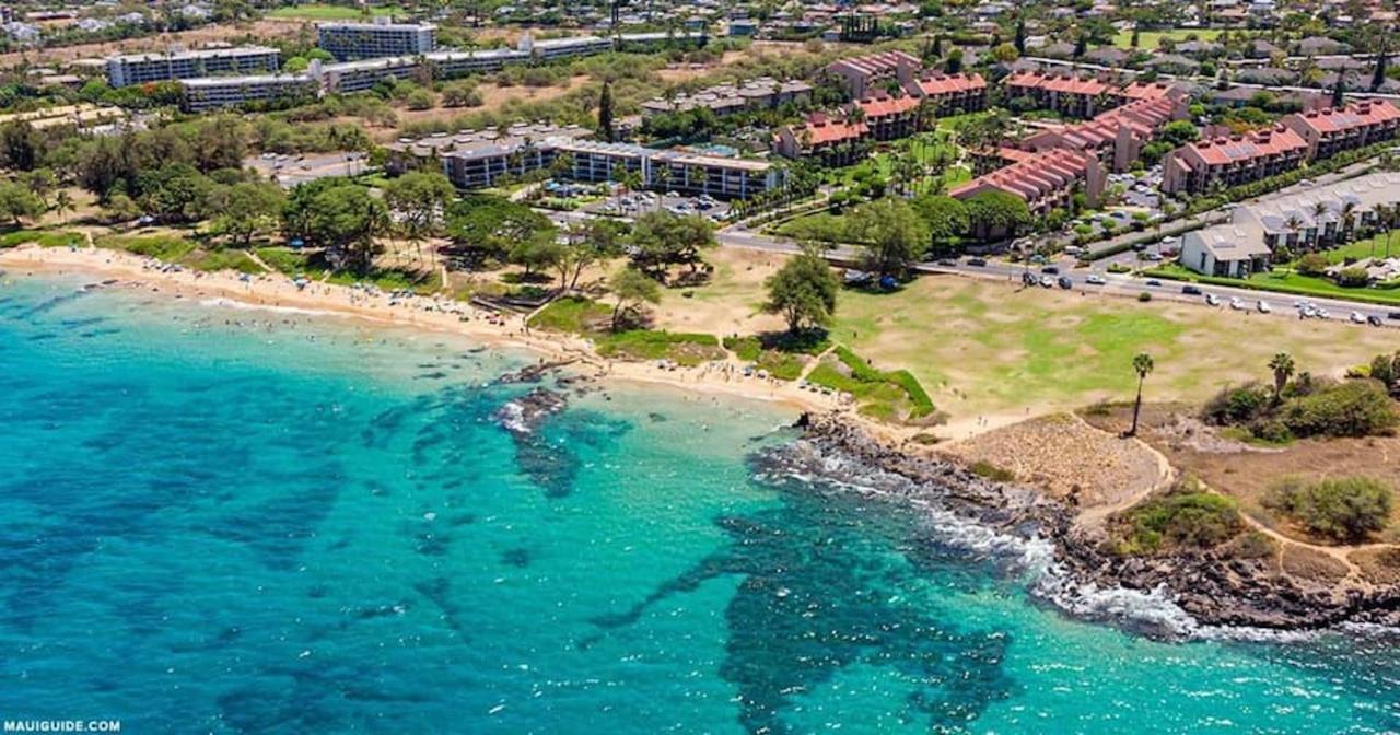 Penthouse 1 Bd King Suite With Ocean Views! Wailea  Zewnętrze zdjęcie