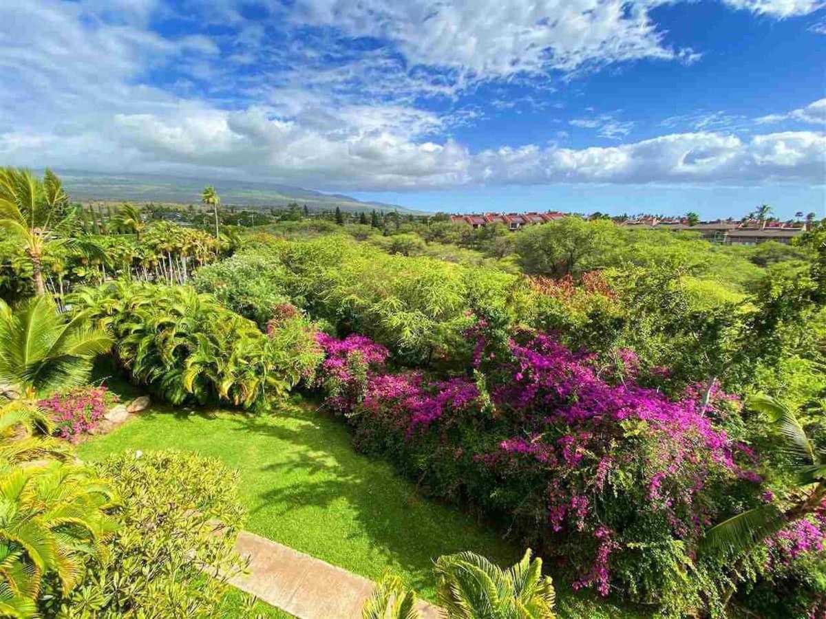 Penthouse 1 Bd King Suite With Ocean Views! Wailea  Zewnętrze zdjęcie